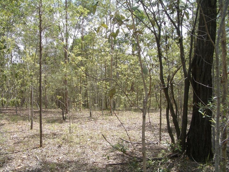 Mount Hallen QLD 4312