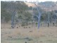 Lot 266 Gatton Esk Road, Coal Creek QLD 4312