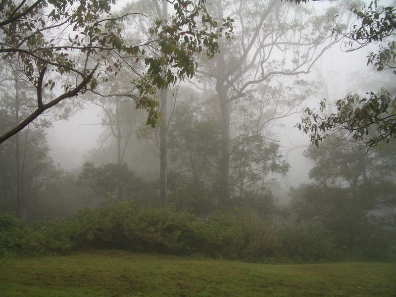 lot 231/3143 Esk/Hampton Road, Ravensbourne QLD 4352