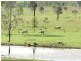 Toogoolawah QLD 4313