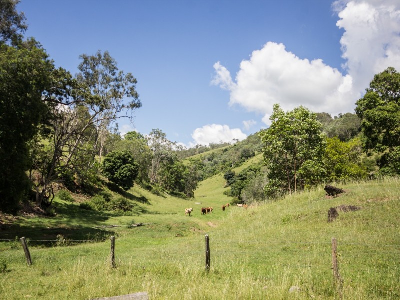 482 Littles Road, Biarra QLD 4313