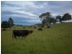 Coal Creek QLD 4312