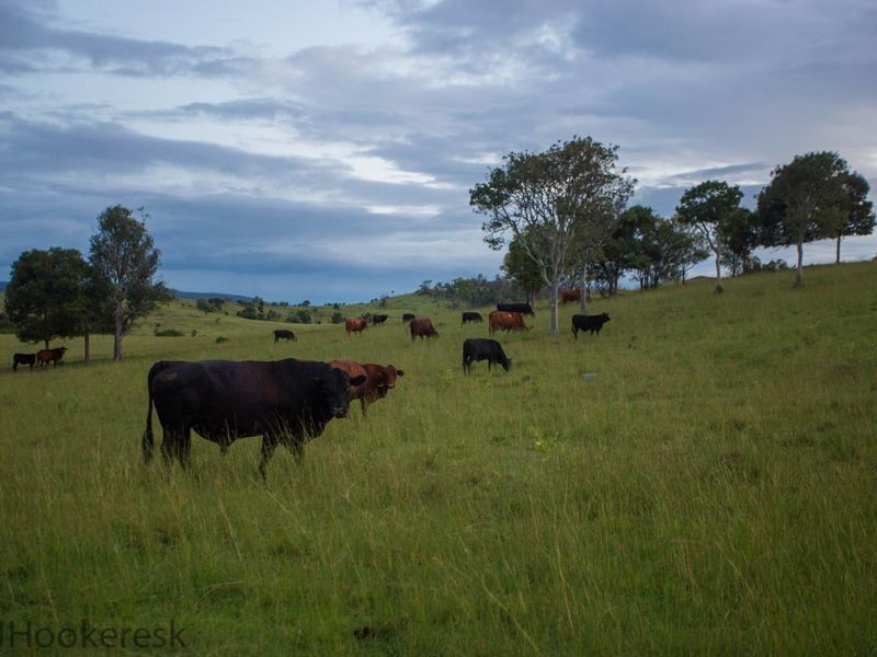 Coal Creek QLD 4312