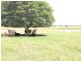 Mount Beppo QLD 4313
