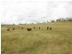Coal Creek QLD 4312