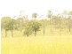 Coal Creek QLD 4312