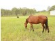 Coal Creek QLD 4312