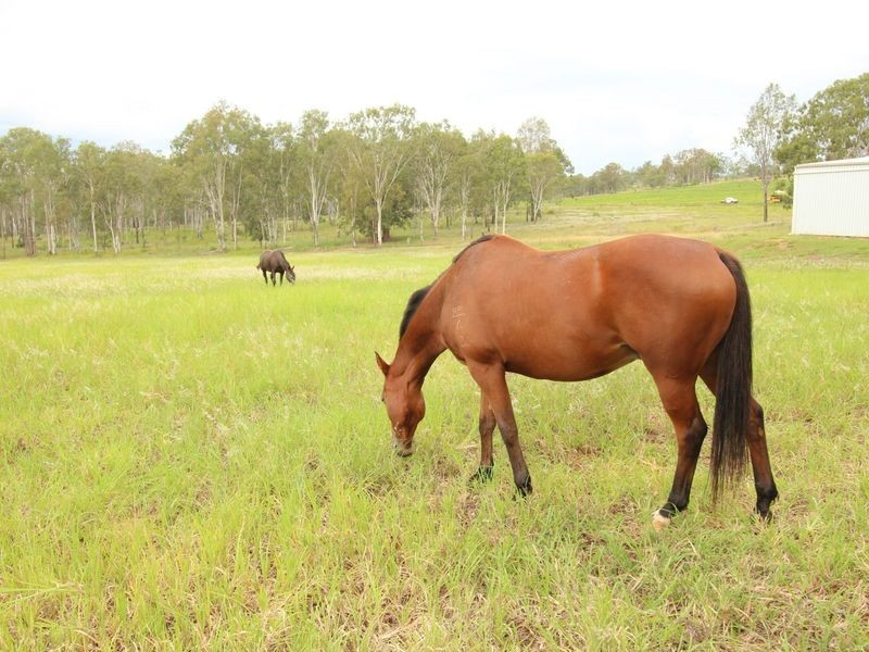 Coal Creek QLD 4312