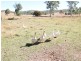 7905 Brisbane Valley Highway, Biarra QLD 4313