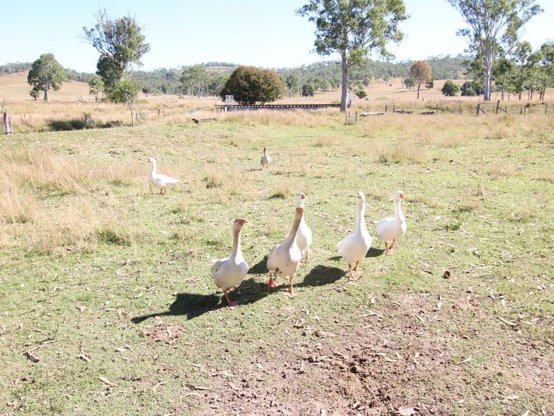 7905 Brisbane Valley Highway, Biarra QLD 4313