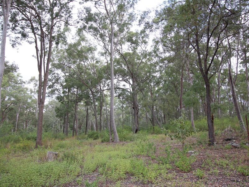 43 Mount Mulgowie Road, Buaraba QLD 4311