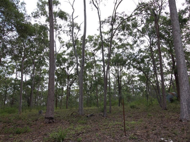 43 Mount Mulgowie Road, Buaraba QLD 4311