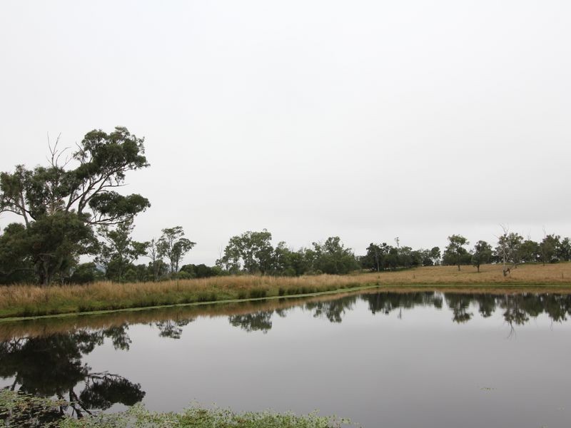 1302 Cressbrook-Caboorbah Road, Mount Beppo QLD 4313
