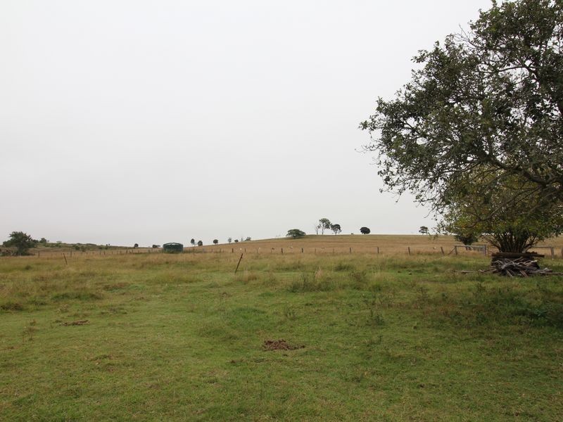 1302 Cressbrook-Caboorbah Road, Mount Beppo QLD 4313
