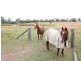 1302 Cressbrook-Caboorbah Road, Mount Beppo QLD 4313