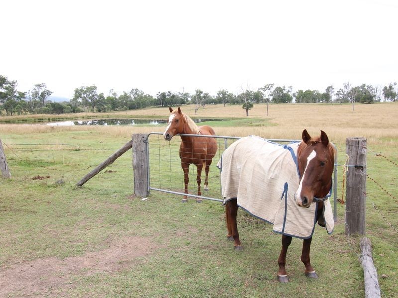 1302 Cressbrook-Caboorbah Road, Mount Beppo QLD 4313