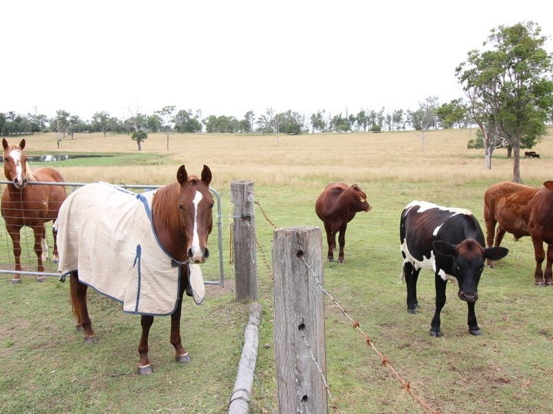 1302 Cressbrook-Caboorbah Road, Mount Beppo QLD 4313
