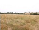 1302 Cressbrook-Caboorbah Road, Mount Beppo QLD 4313