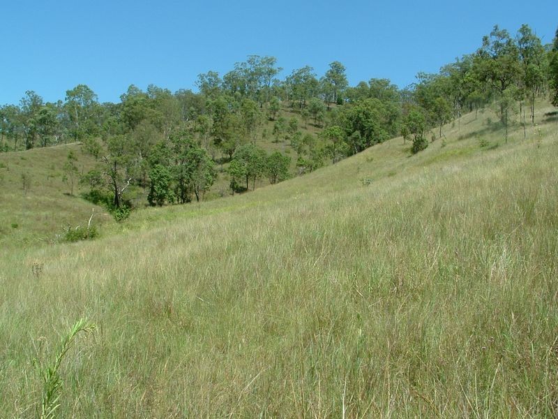 Lot 19 D’Aguilar Highway, Moore QLD 4306