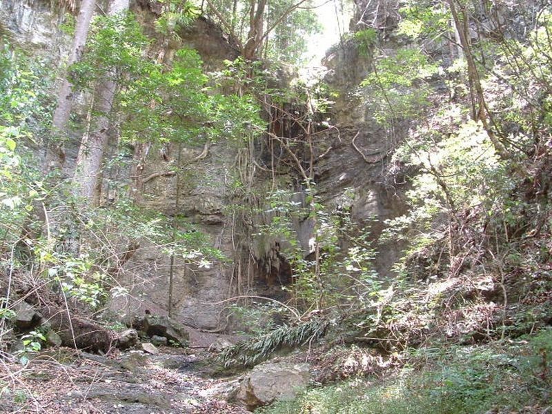 Lot 19 D’Aguilar Highway, Moore QLD 4306