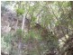 Lot 19 D’Aguilar Highway, Moore QLD 4306