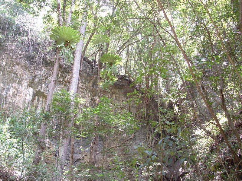 Lot 19 D’Aguilar Highway, Moore QLD 4306