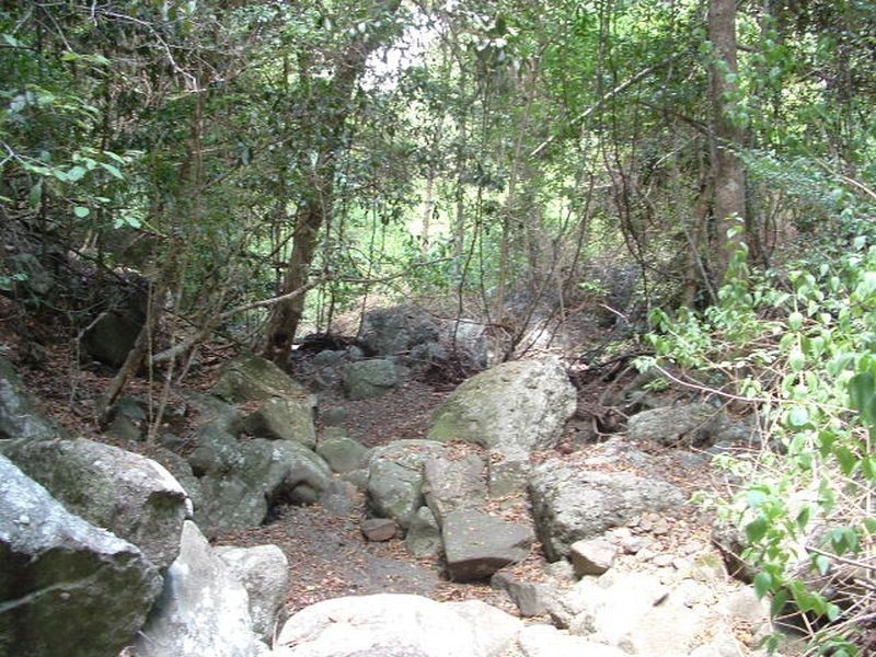Lot 19 D’Aguilar Highway, Moore QLD 4306