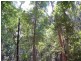 Lot 19 D’Aguilar Highway, Moore QLD 4306