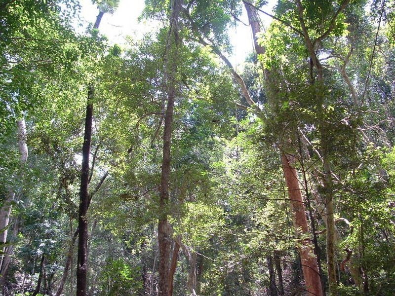 Lot 19 D’Aguilar Highway, Moore QLD 4306