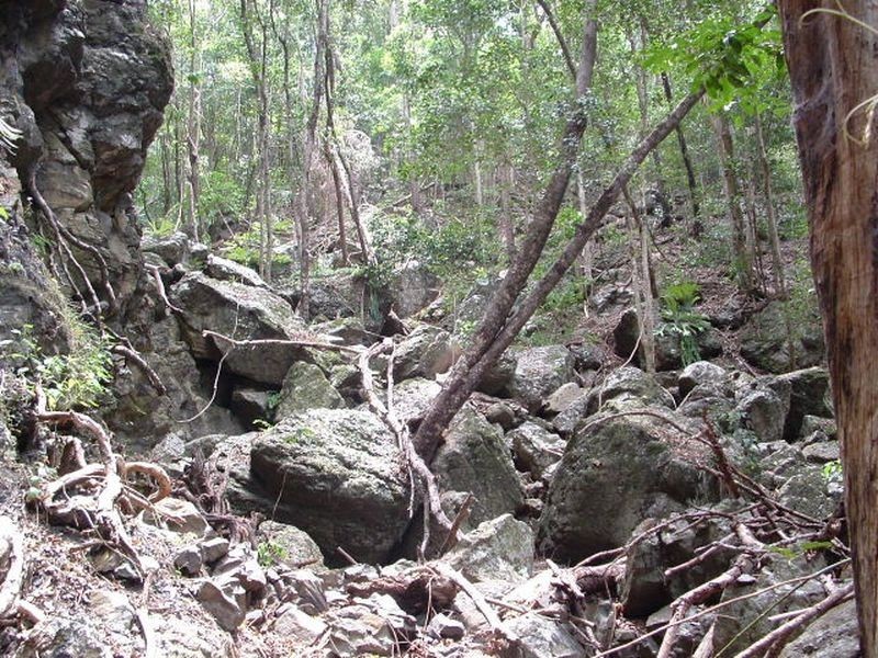 Lot 19 D’Aguilar Highway, Moore QLD 4306