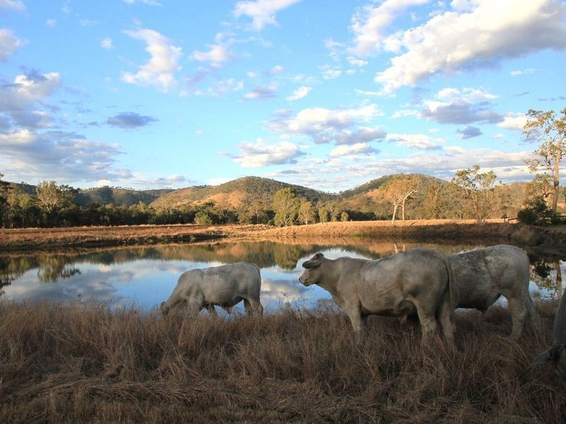Lot 1 Rohlmann Road, Linville QLD 4306