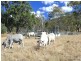 Lot 1 Rohlmann Road, Linville QLD 4306