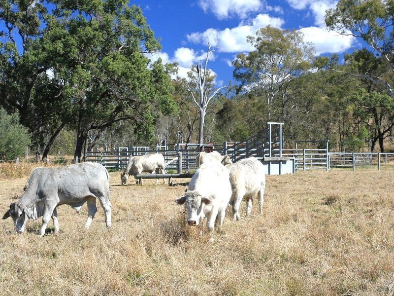 Lot 1 Rohlmann Road, Linville QLD 4306