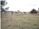 490 Esk Crowsnest Road, Biarra QLD 4313