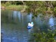 252 Buaraba Creek Road, Buaraba QLD 4311