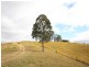 Lot 516 Kilcoy Murgon Road, Kilcoy QLD 4515