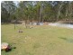 64 Laurel Street, Esk QLD 4312