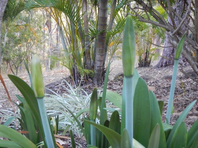 Esk QLD 4312