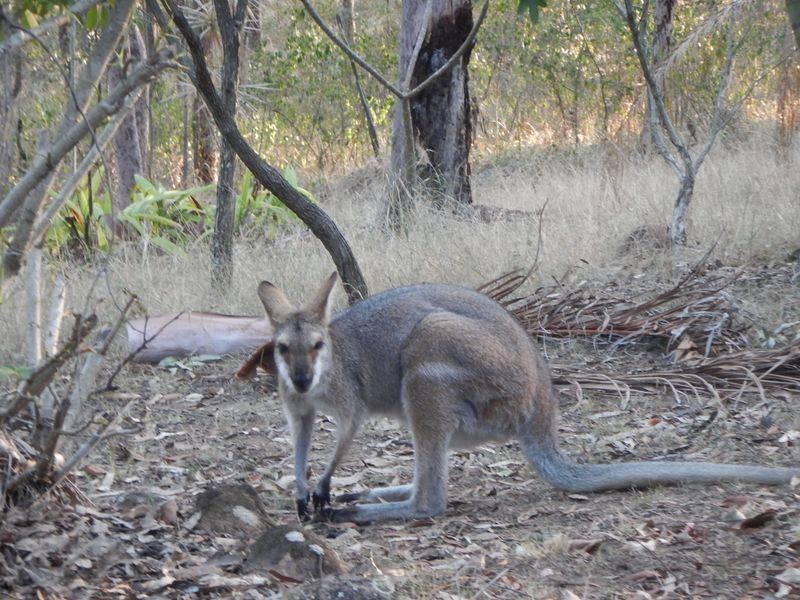 Esk QLD 4312