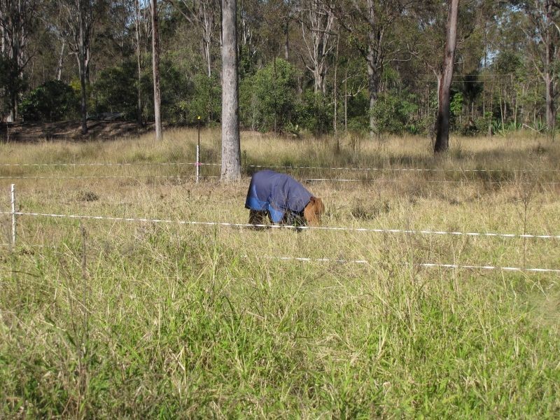 5 Vineyard Road, Coominya QLD 4311