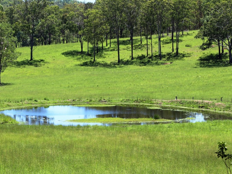 1555 Esk Crows Nest Road, Biarra QLD 4313