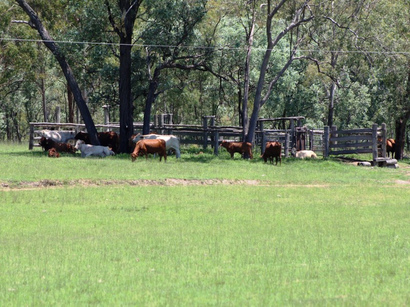 1555 Esk Crows Nest Road, Biarra QLD 4313