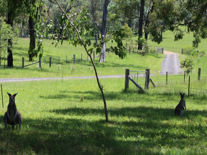 1555 Esk Crows Nest Road, Biarra QLD 4313