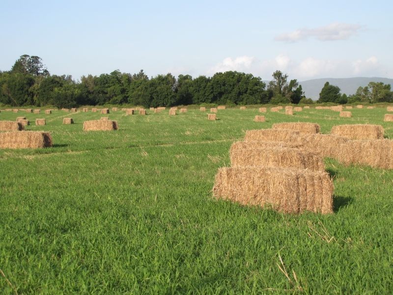 Toogoolawah QLD 4313