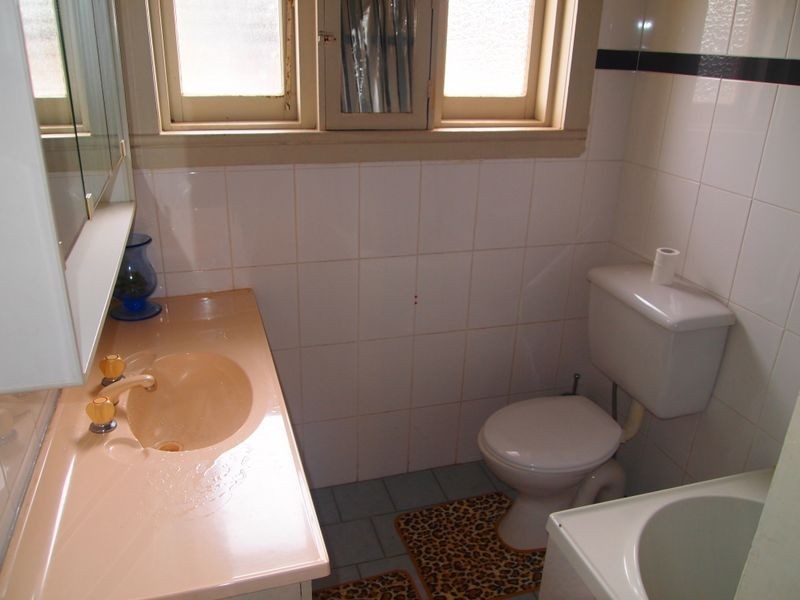 55 Arthur Street, Rosehill NSW 2142