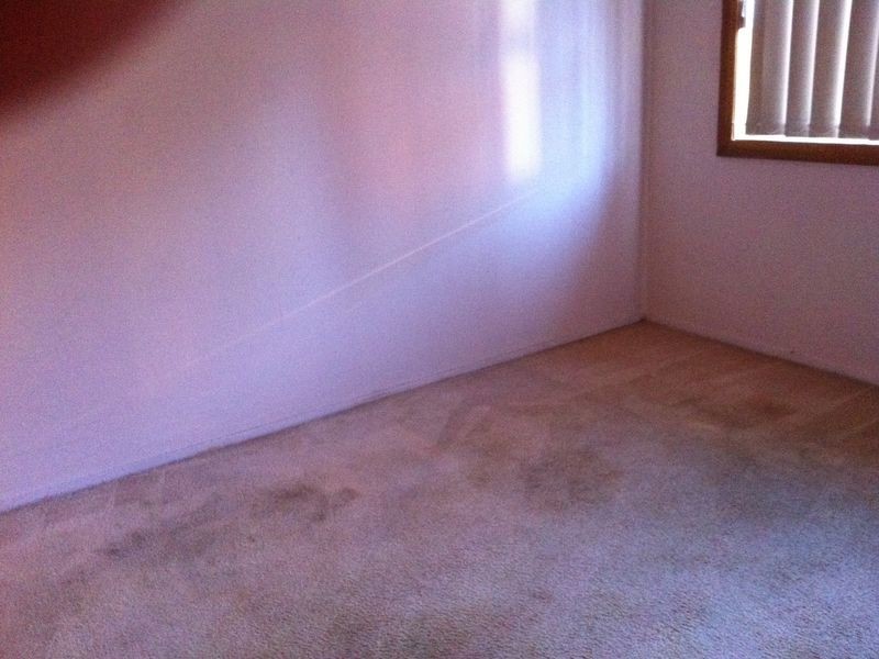 53 Pavesi Street, Guildford NSW 2161