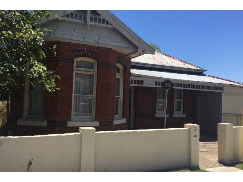 3 Daniel Street, Granville NSW 2142