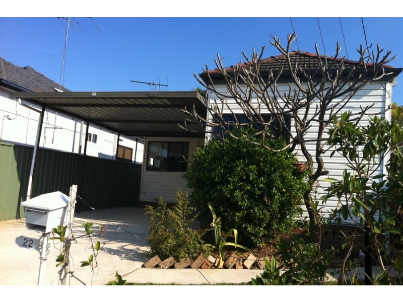 22 Wells Street, Granville NSW 2142