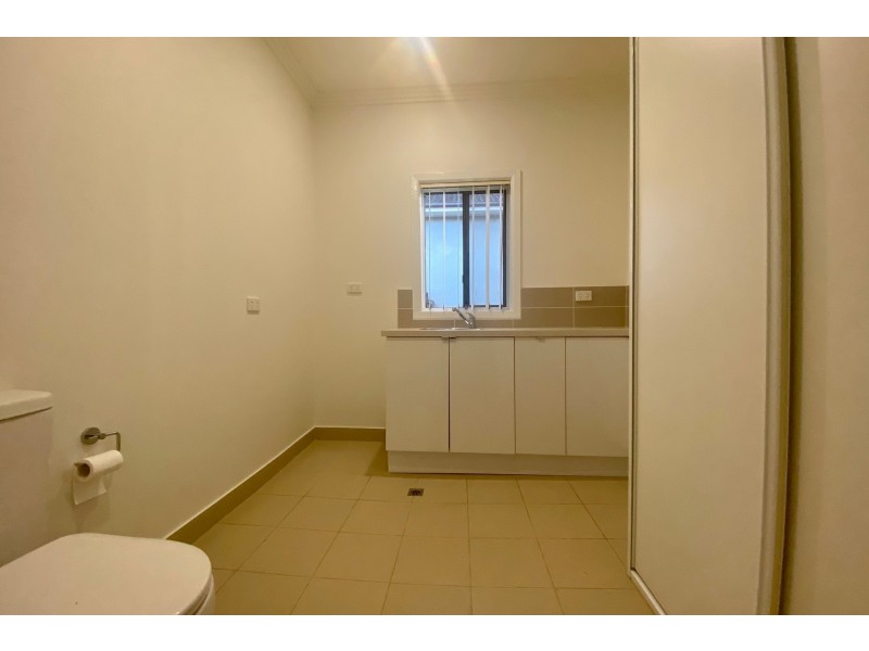 66 Elliston Street, Chester Hill NSW 2162