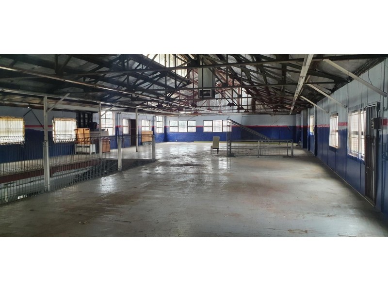 9 Rowell Street, Granville NSW 2142